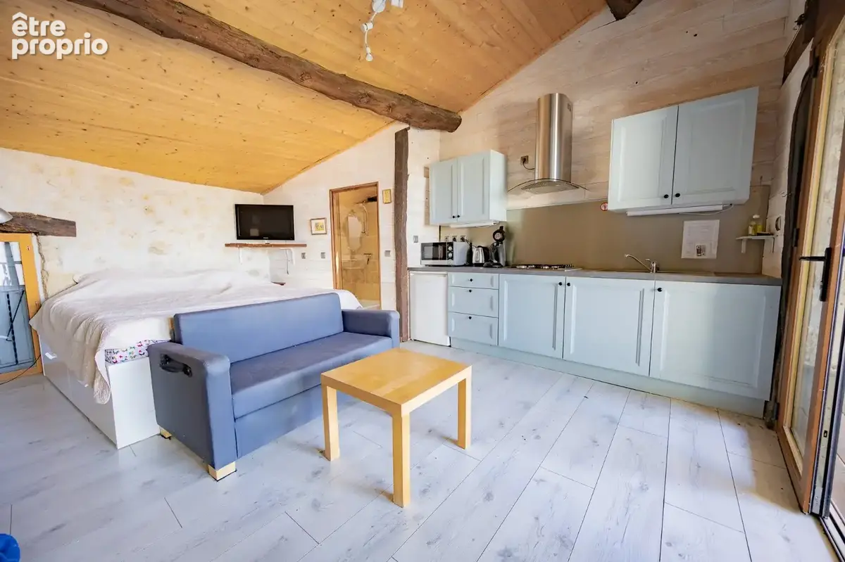 Maison de village en pierre avec gîte - photo 18