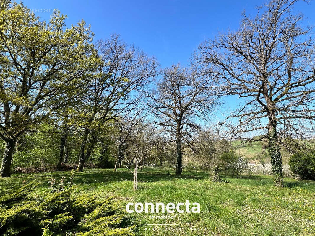 Maison à MONTRICHARD