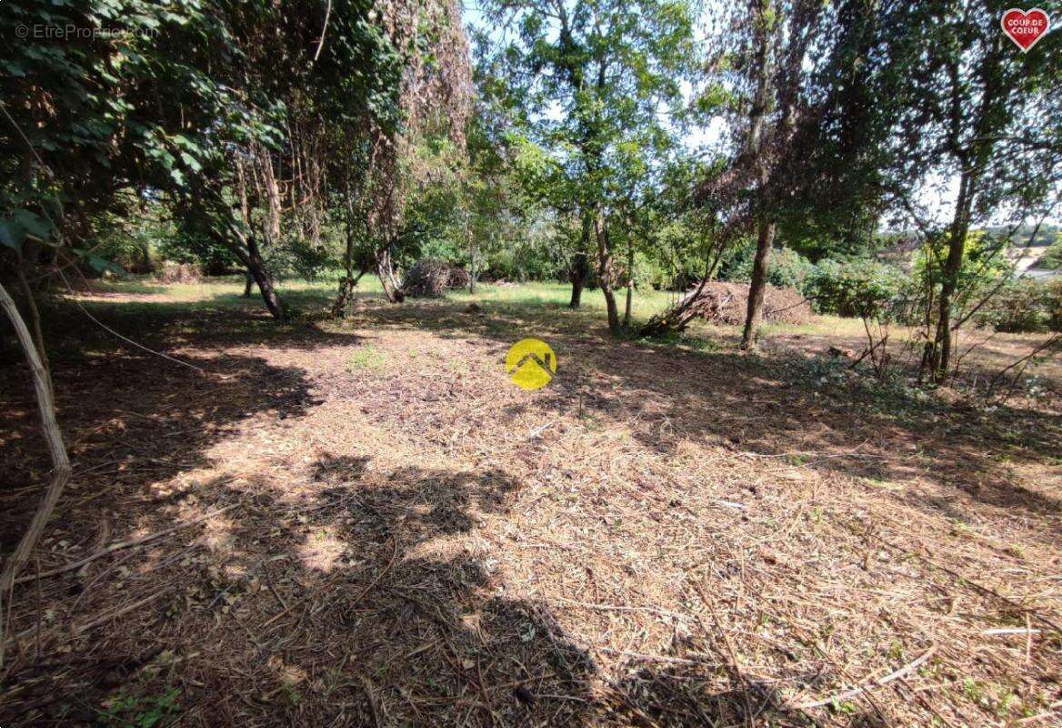 Terrain à VAILLY-SUR-SAULDRE