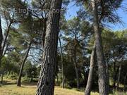 Terrain à GUZARGUES