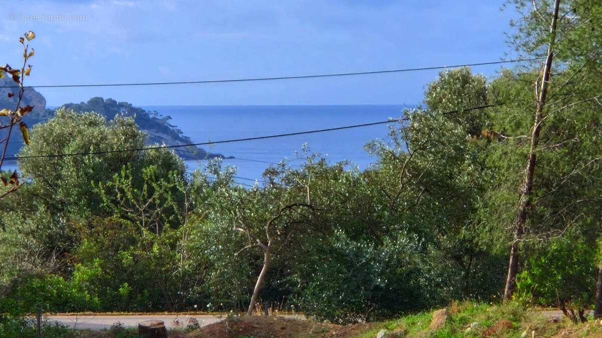 Terrain à SAINT-CYR-SUR-MER