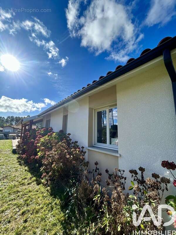 Photo 4 - Maison à CASTETS