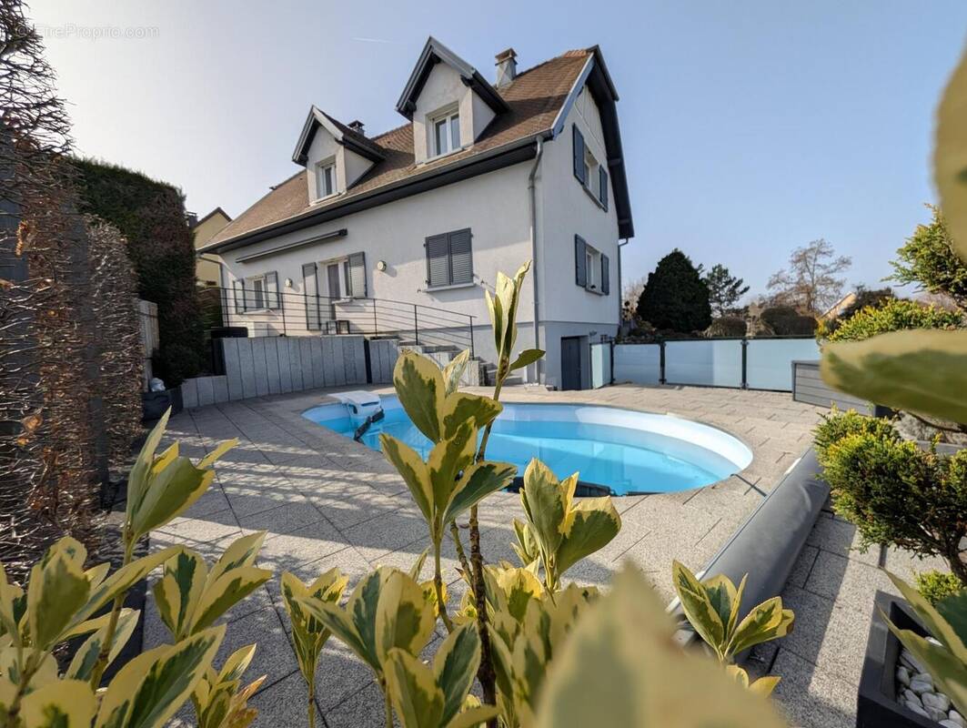 Photo 1 - Maison à RIXHEIM