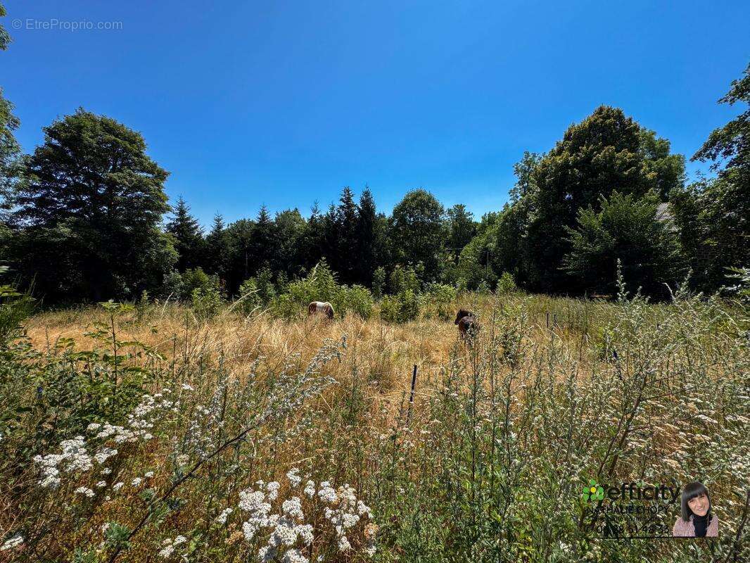 Maison de campagne - photo 17