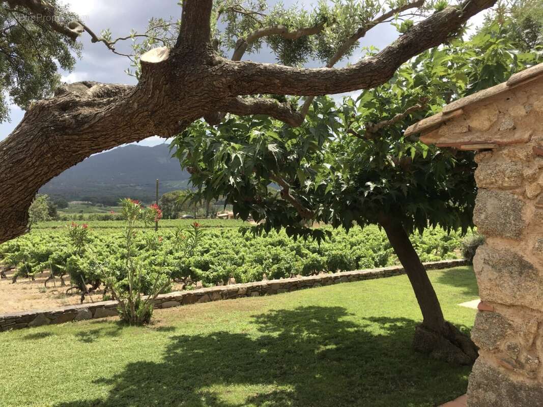 Maison à PLAN-DE-LA-TOUR