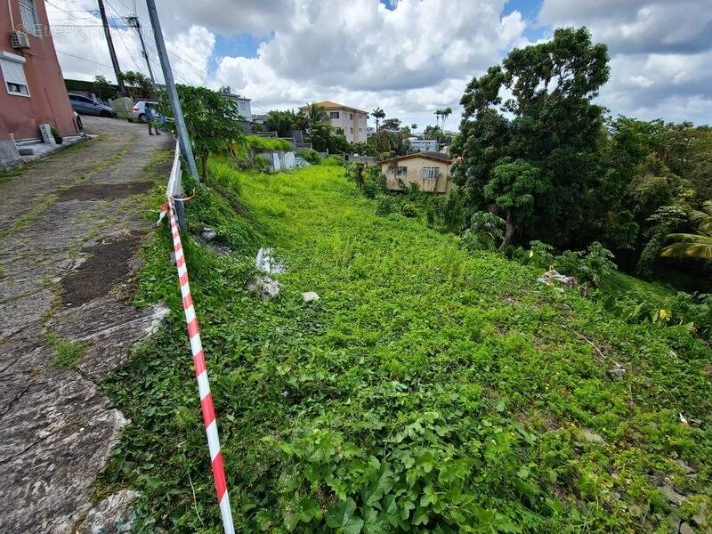 Terrain à FORT-DE-FRANCE