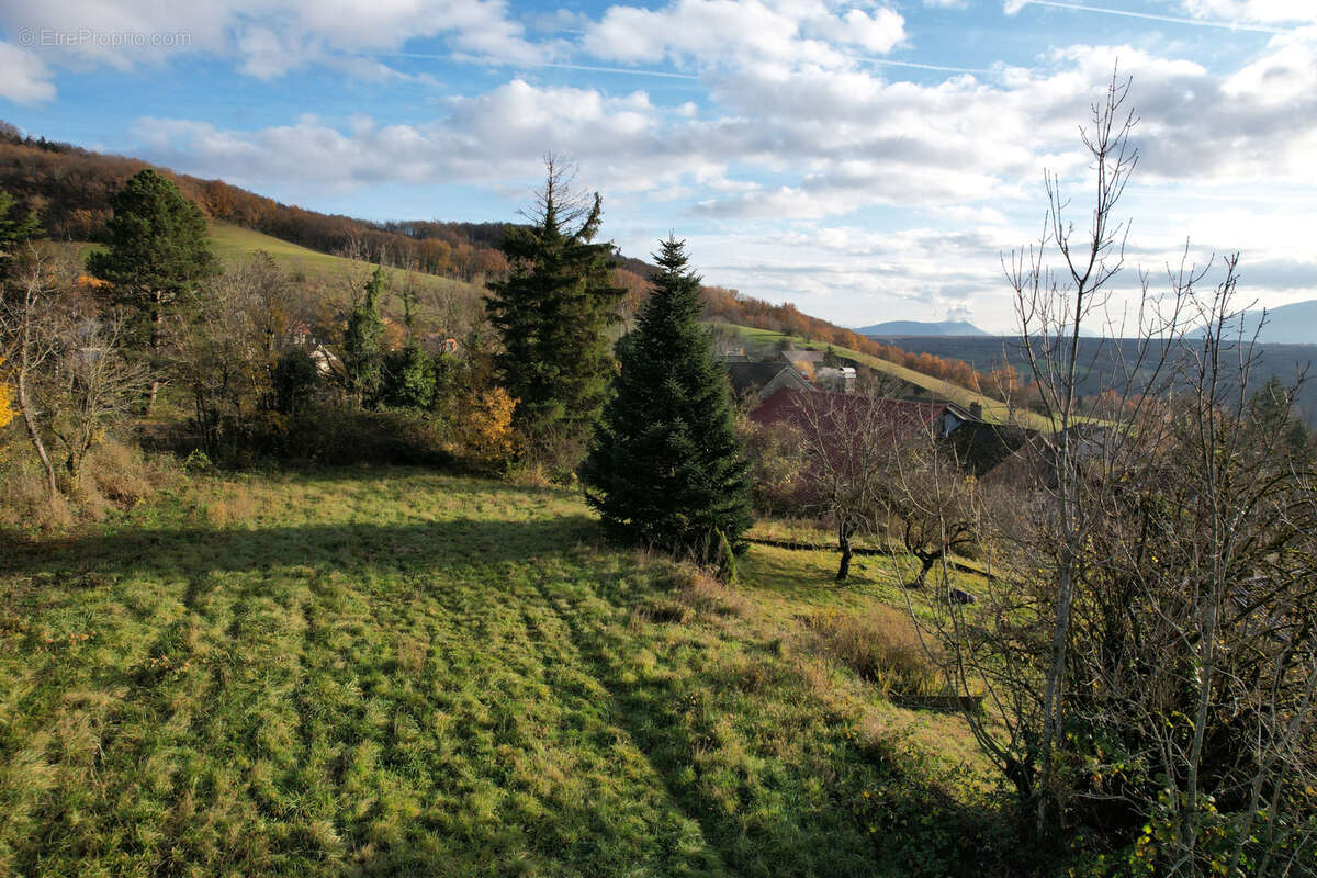 Terrain à LANCRANS