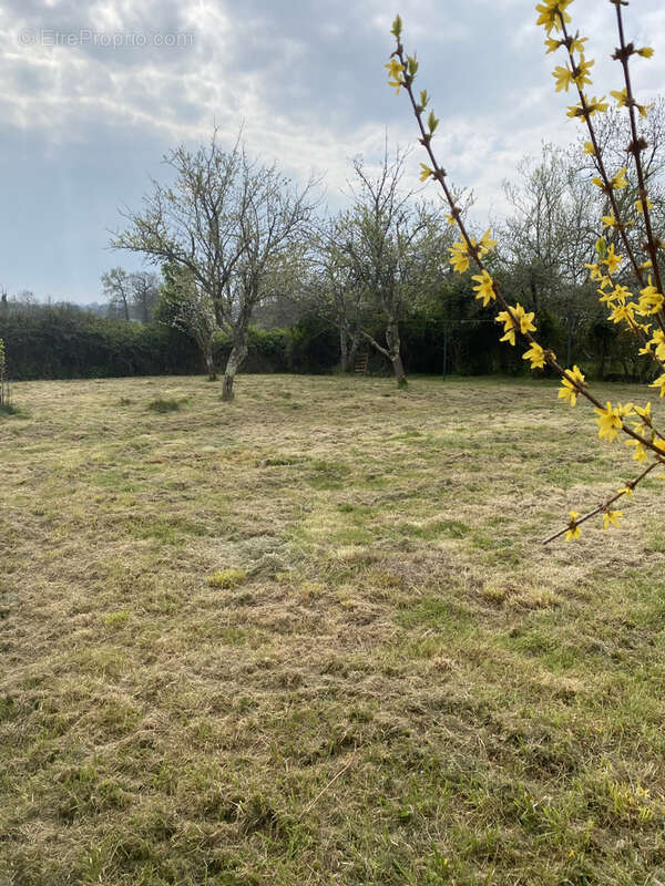 Maison à SAINT-LEGER-MAGNAZEIX