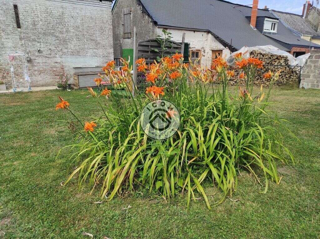 Nouveauté dans un secteur prisé - photo 13