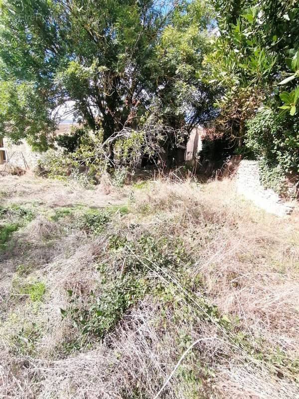 Maison de village avec jardin à Mouthoumet Gros Travaux à prévoir - photo 14