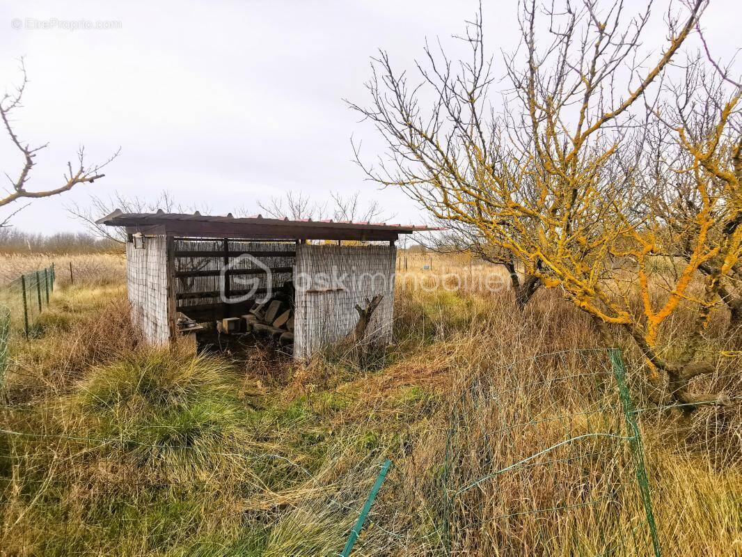 Terrain à VILLENEUVE-LES-BEZIERS