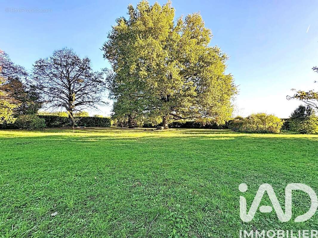 Photo 3 - Maison à TERRASSON-LAVILLEDIEU