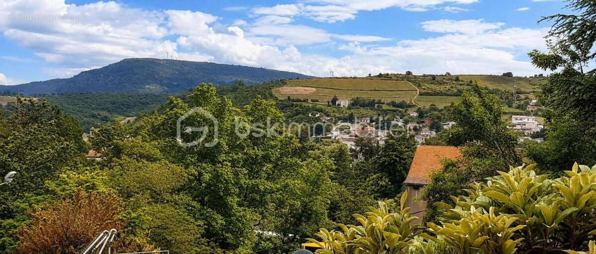 Limoux – Ancien hôtel avec gîtes et chambres d'hôtes, idéal pour un hôtel d'étape - photo 29