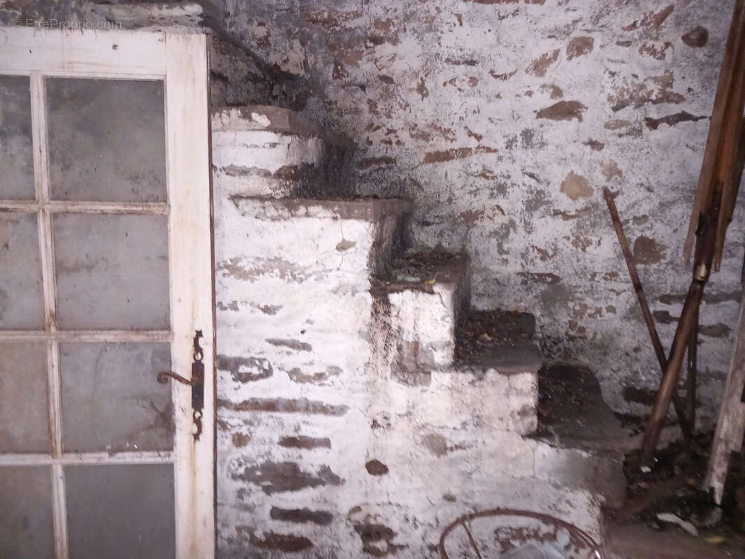 Unique ! ancienne Ferme à rénover sur 15Ha de patures et bois . - photo 26