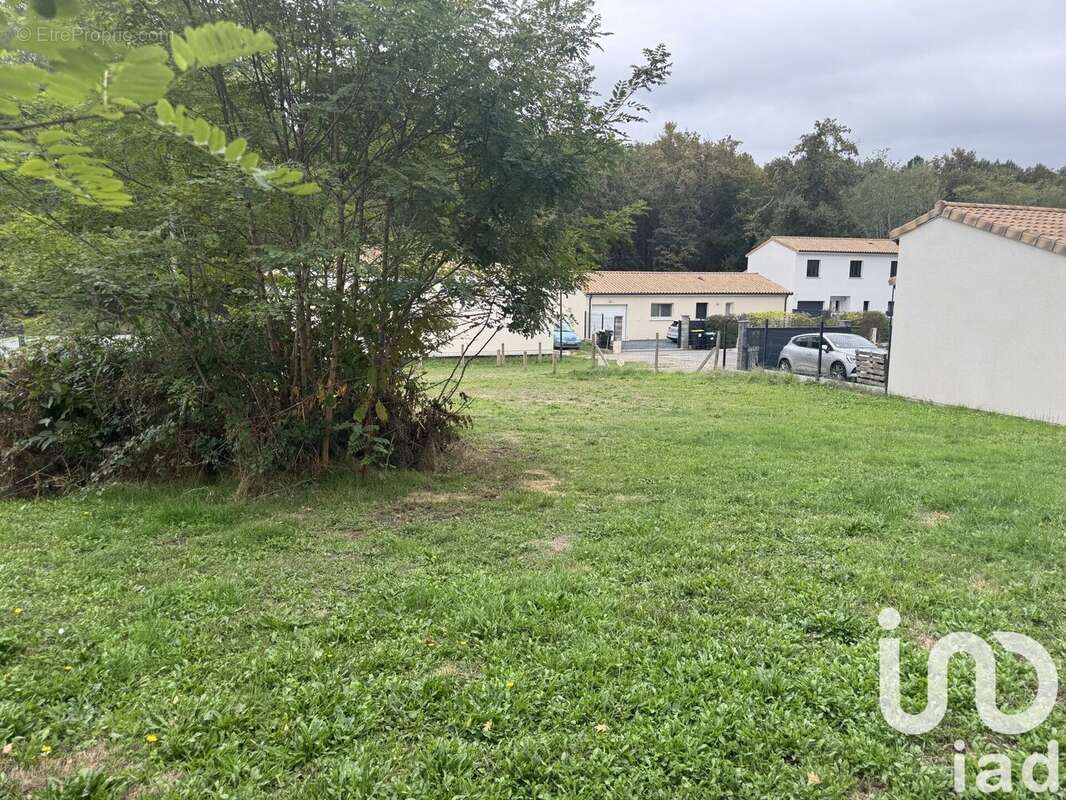 Photo 3 - Terrain à SAUCATS