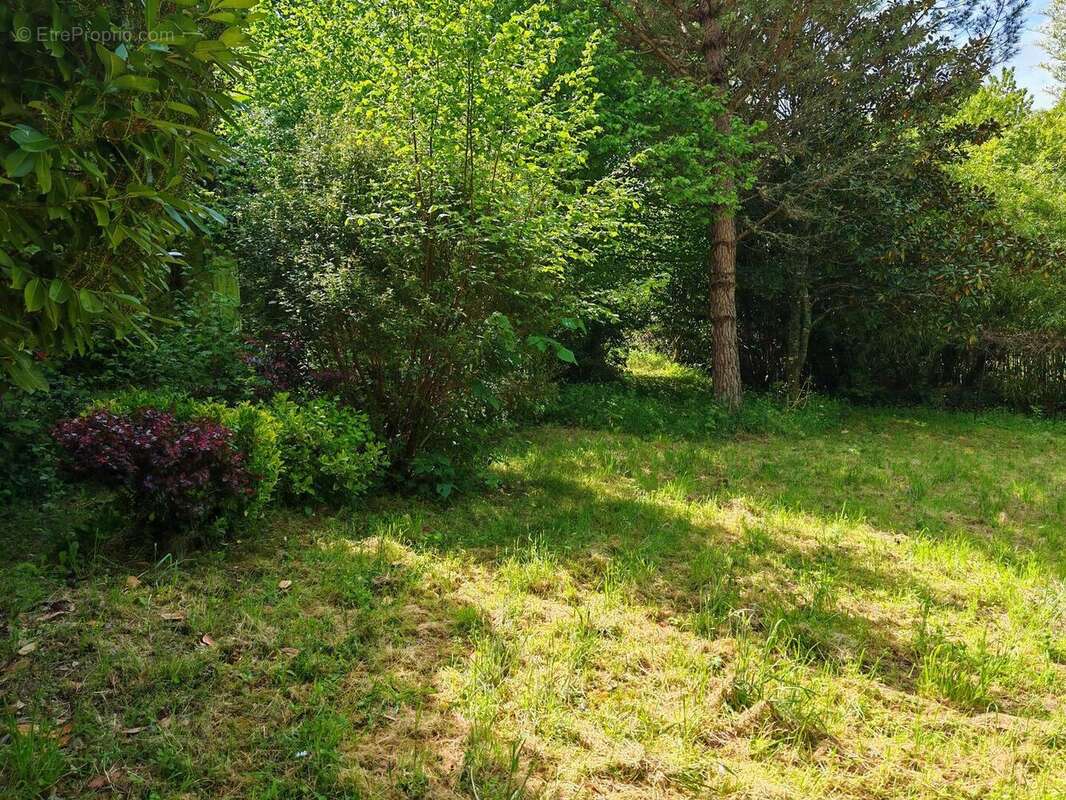 IMG20250506120647 - Maison à LIMOGES