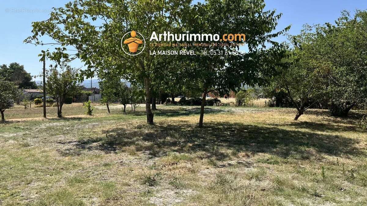Vente Terrain Revel(31250) 95 000ï¿œ - photo 3