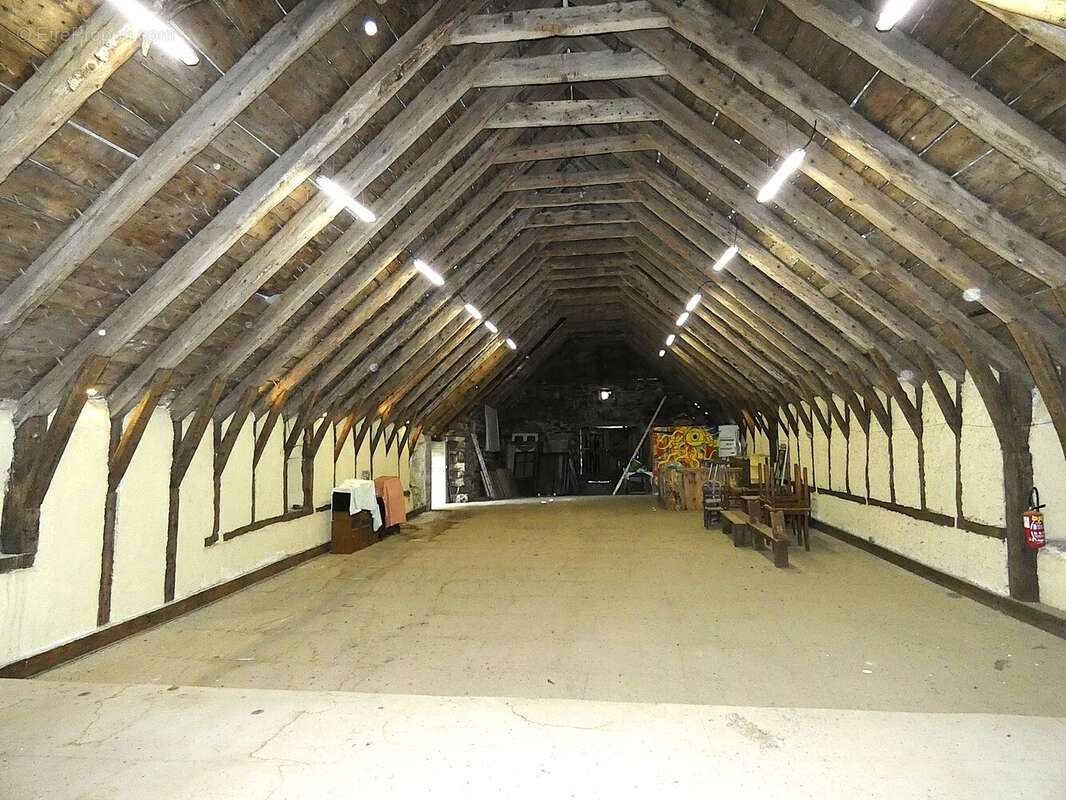 (1460 m²) Ancienne ferme avec vue sur le Mont Gerbier de Jonc  - photo 17