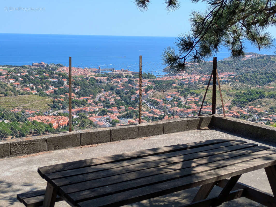 Vigne avec casot a vendre a collioure - photo 13
