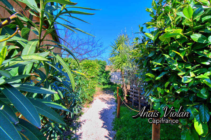 Maison à SAINT-MATHIEU-DE-TREVIERS
