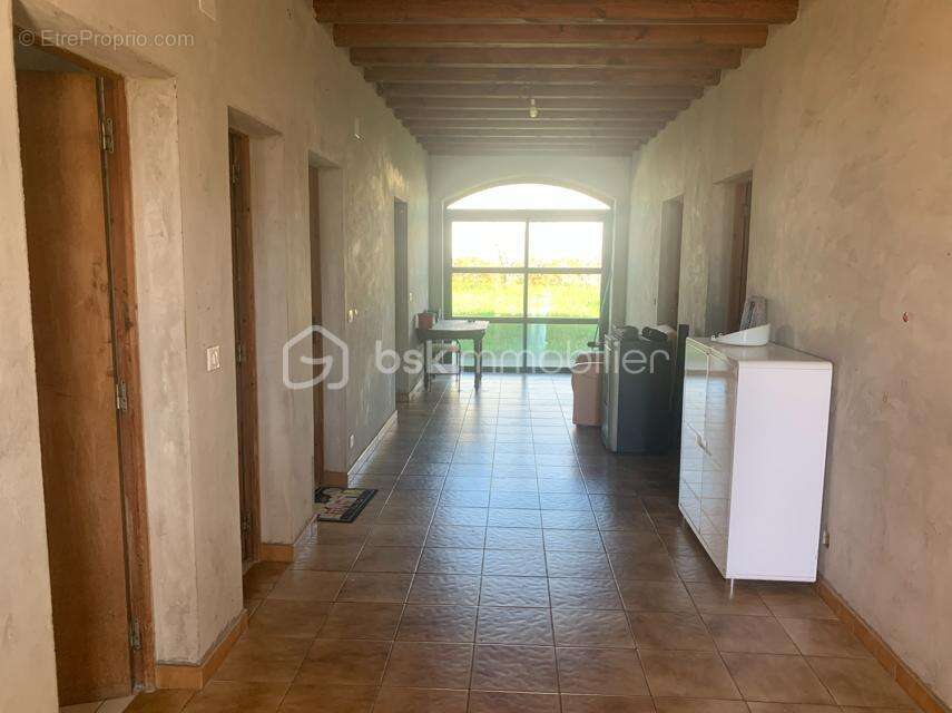 Proche Nogaro - Propriété Horticole de 3ha avec habitation - photo 7