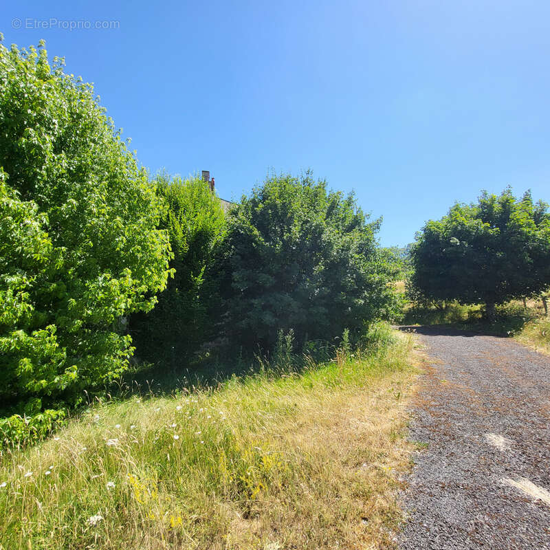 Belle maison en pierres lauzes et ardoises - photo 24
