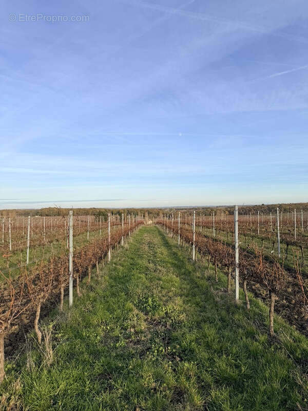 Parking à SAINT-MACAIRE