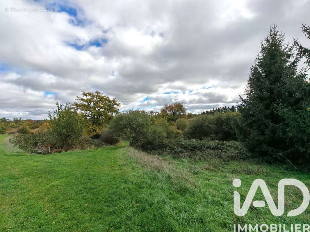 Photo 9 - Terrain à NERIS-LES-BAINS