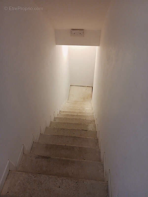 Maison à PAVANT