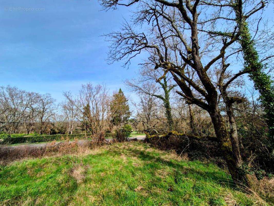 Maison ancienne en pierre à rénover entièrement + jardin arboré de 2200m² en zone Uc, potentiellement constructible - photo 6