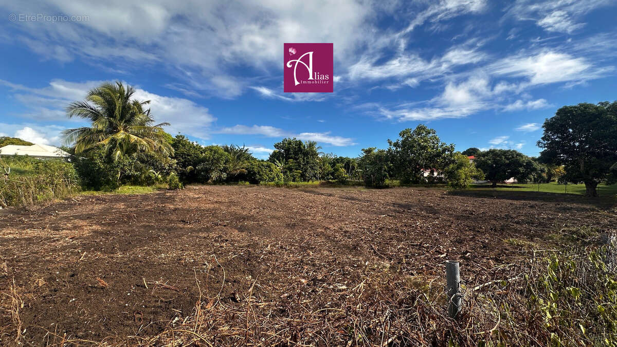 Terrain plat de 795 m2 - secteur dubedou -  saint-francois - projet de construction - photo 2