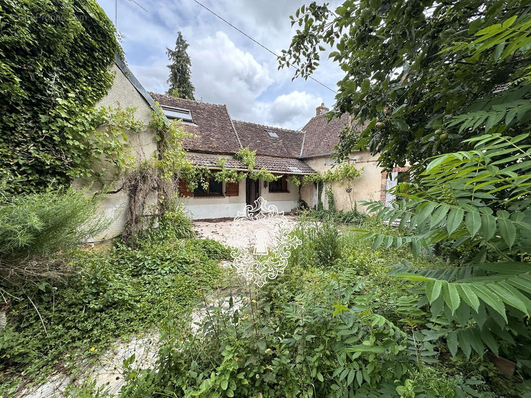 Maison à DONNEMARIE-DONTILLY