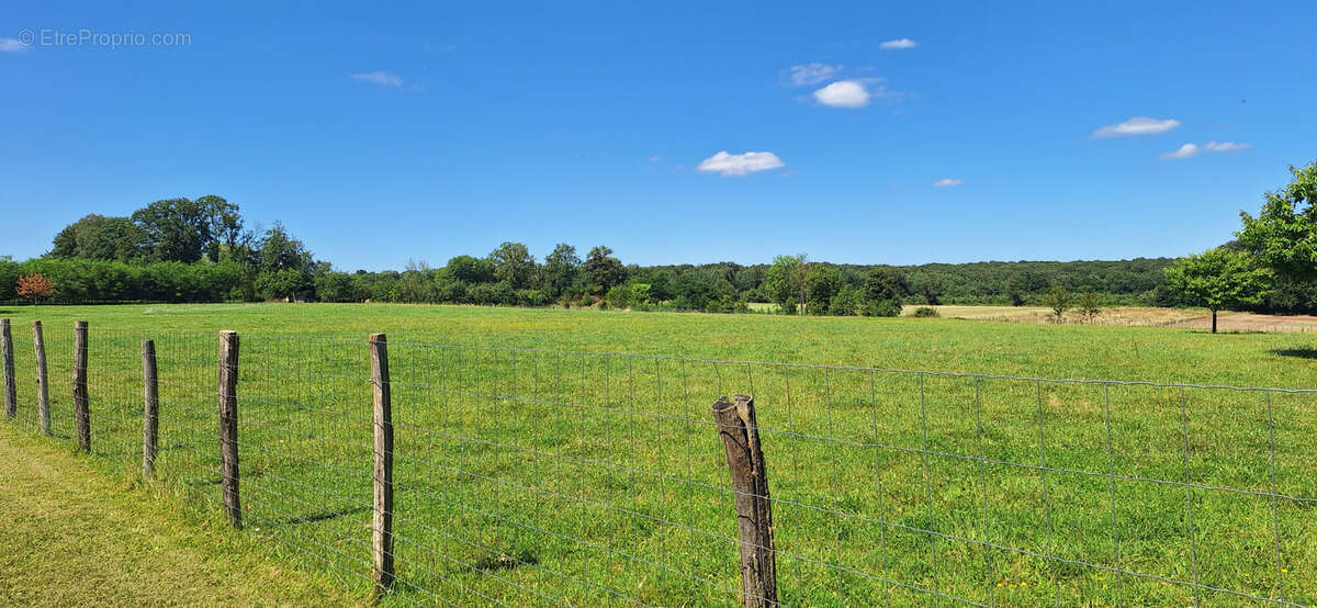 Maison à BUSSY-EN-OTHE