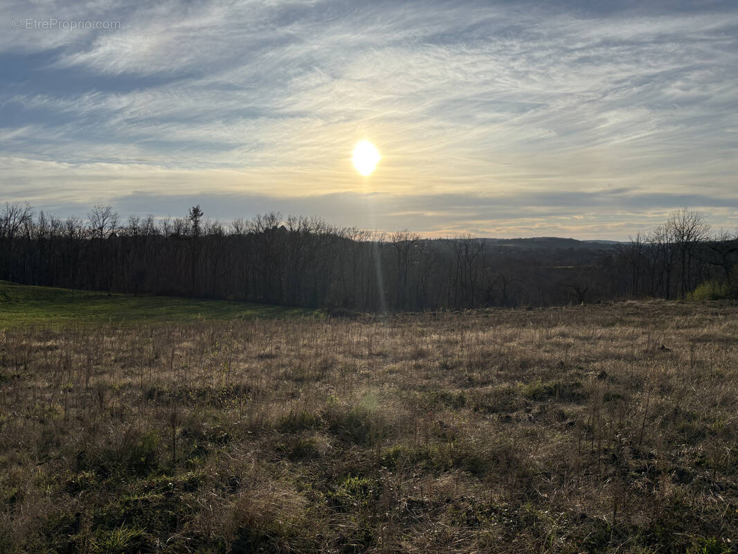 Terrain à BRIVE-LA-GAILLARDE