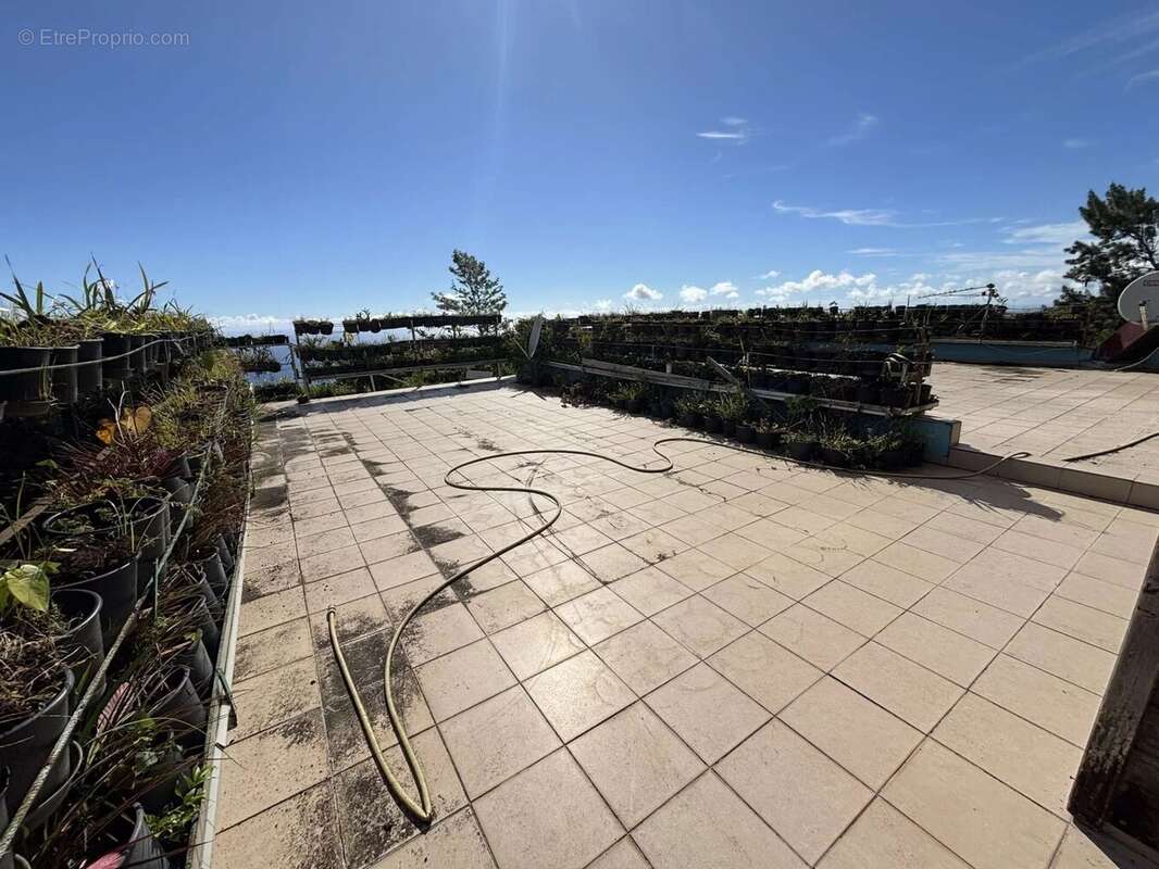 Maison - 10 pièces - 310 m² + 2 Dépendances - photo 11