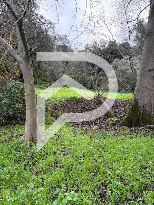 Terrain à MARSEILLE-13E