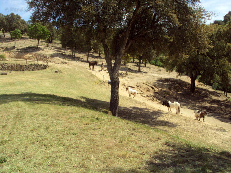 Maison à PLAN-DE-LA-TOUR
