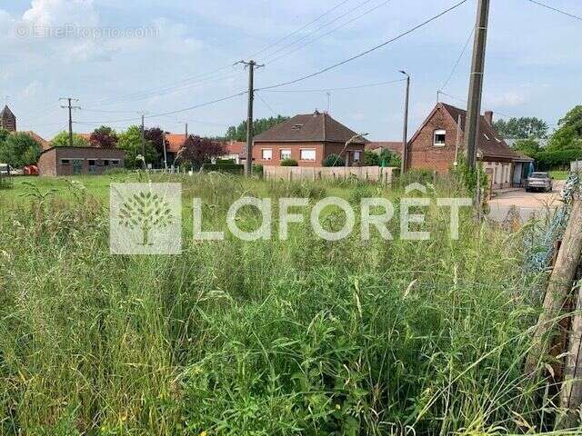 Terrain à HESDIN