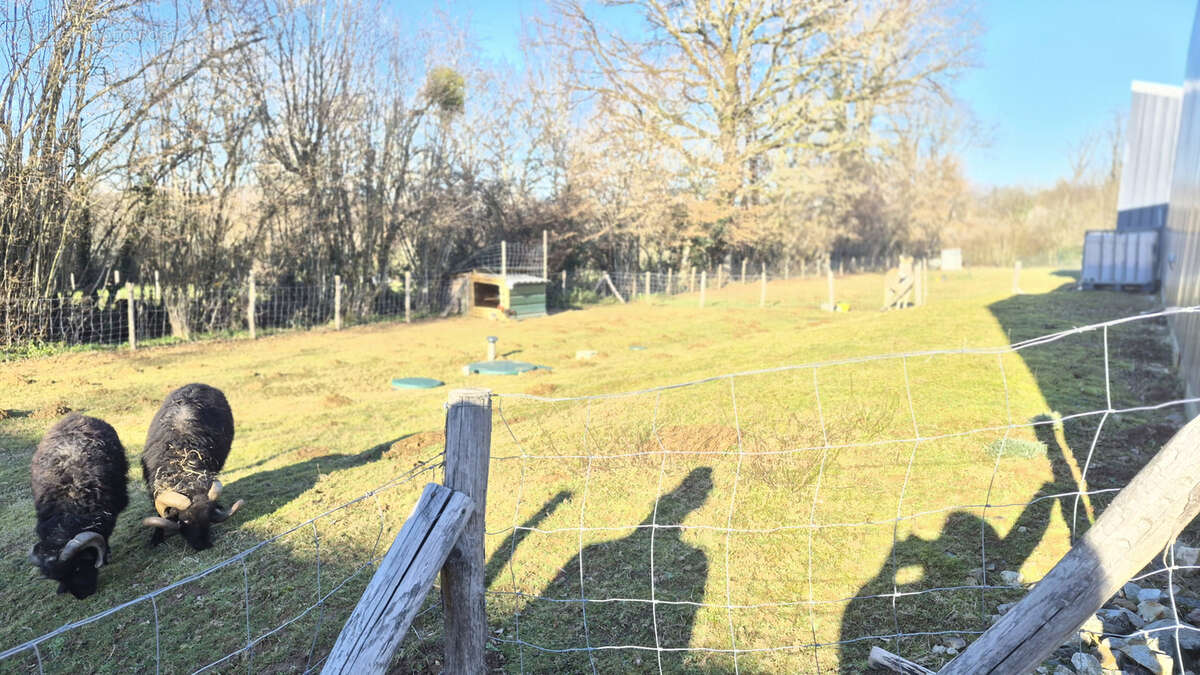 Commerce à MAGNAC-BOURG
