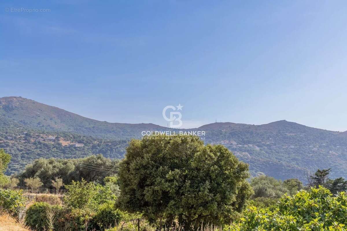 Aregno - Beau T3 vue montagne - Terrasse & jardin - photo 27