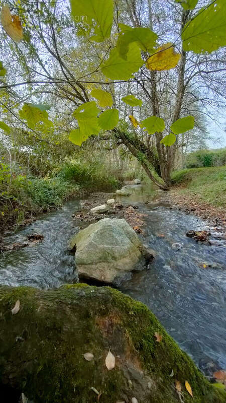 Maison à LE VIGEANT