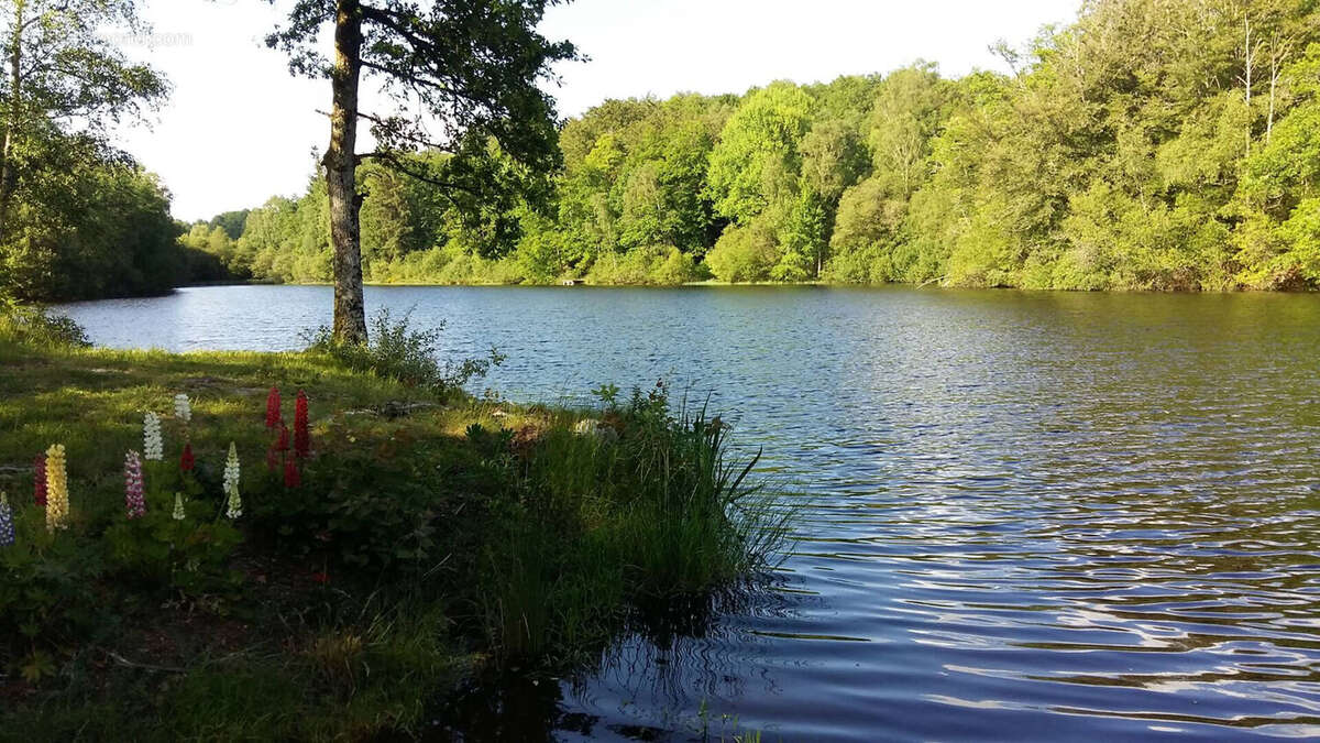 Terrain à COMPREIGNAC