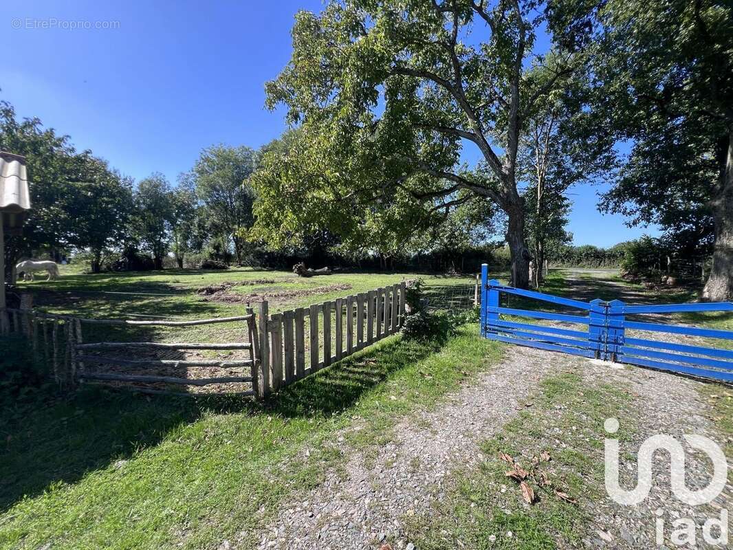 Photo 4 - Maison à NEUVY-BOUIN
