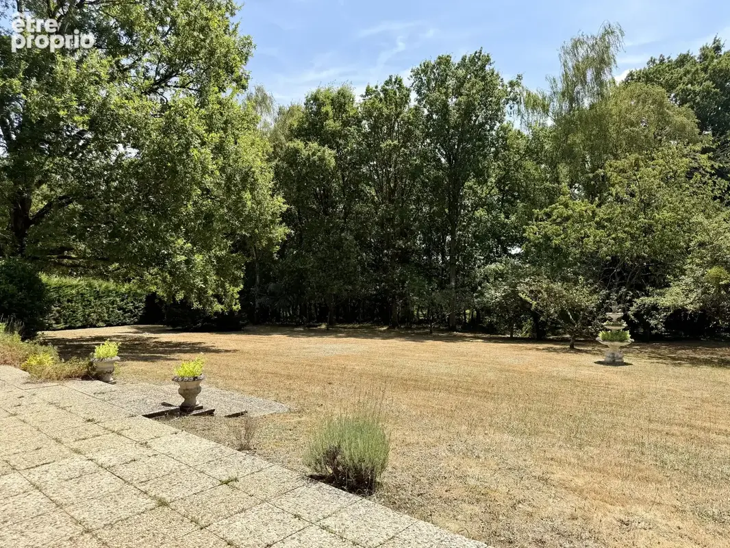 Exclusivité - proche la loupe - photo 7