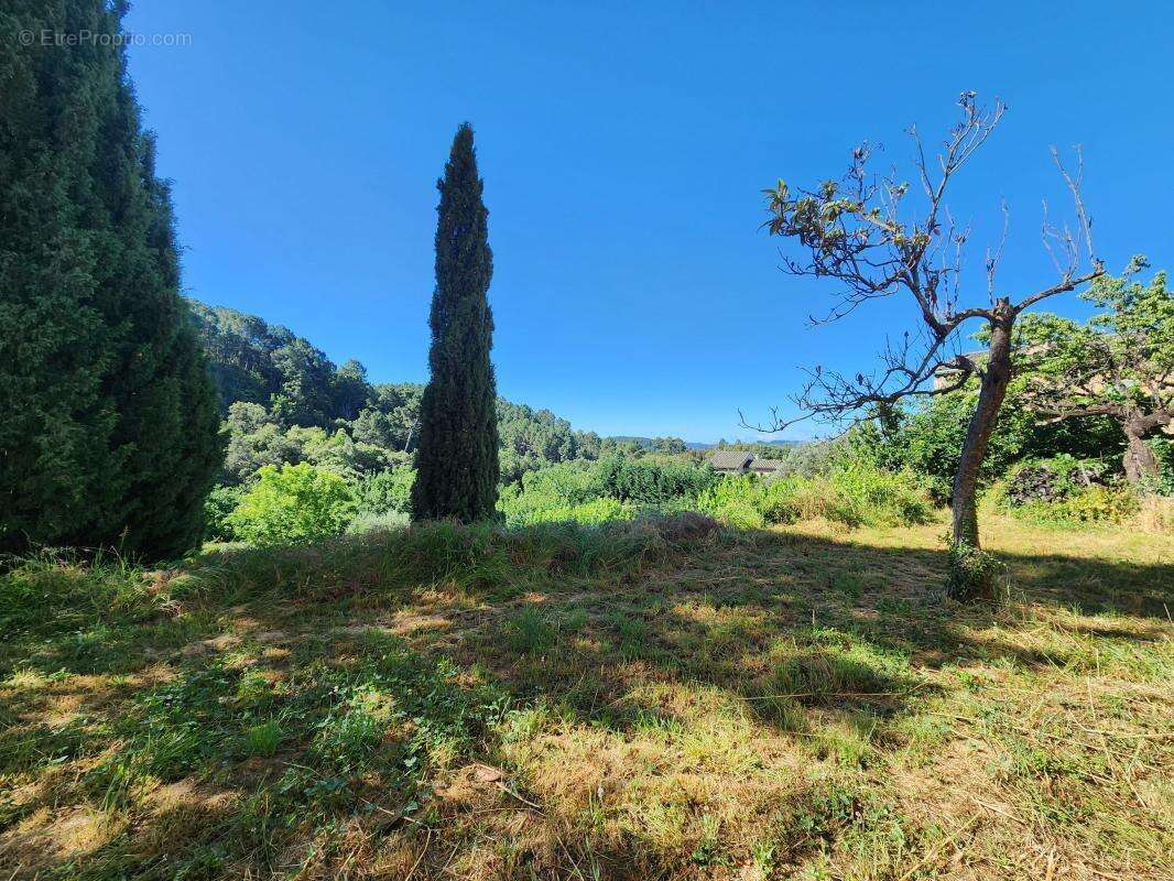 Magnifique mas de village rénové avec vue panoramique sur les Cévennes – 278 m² habitables – Terrain de 2 612 m² - photo 10