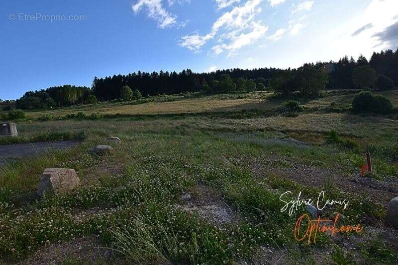 Terrain viabilisé à vendre de 911,00 m² DUNIERES (43), vue dégagée, belle situation - photo 7