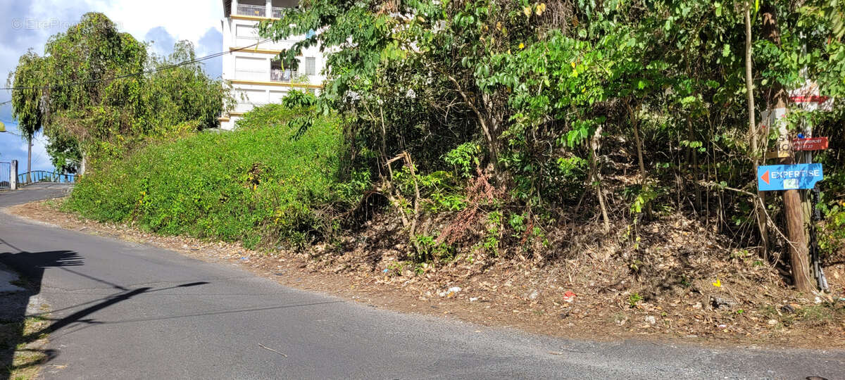 Terrain à LES ABYMES