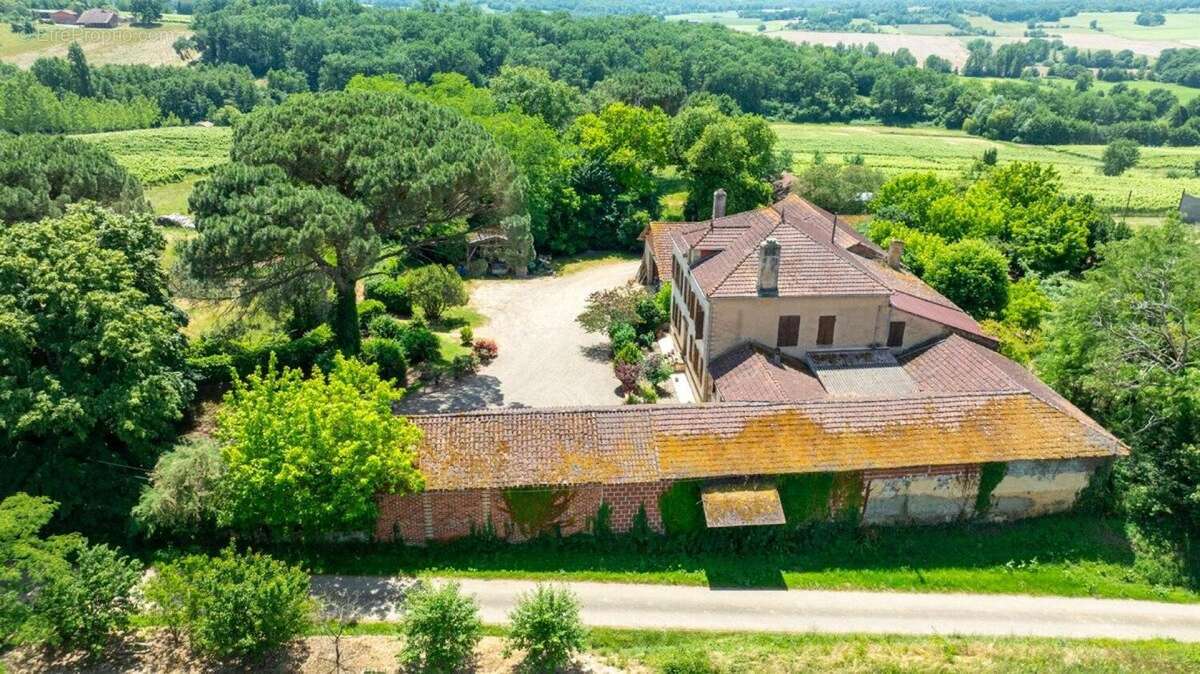 Maison 380 m² à Laujuzan  - photo 6