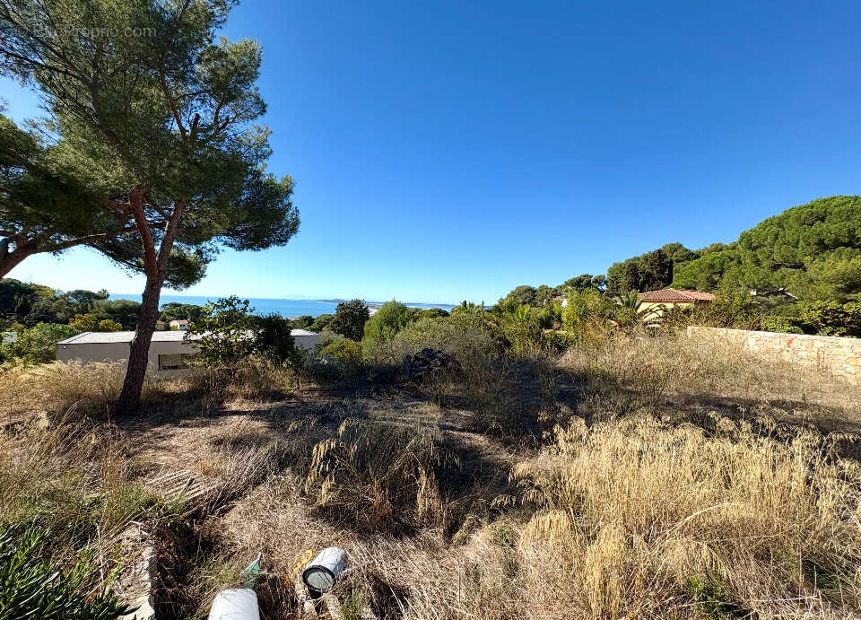 Terrain à SETE