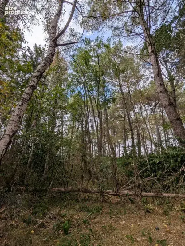 Terrain à vendre de 2 187,00 m² MEZERAY (72) - photo 5